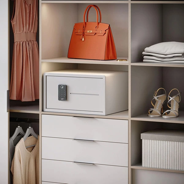 Closets & Walk-in Wardrobes
